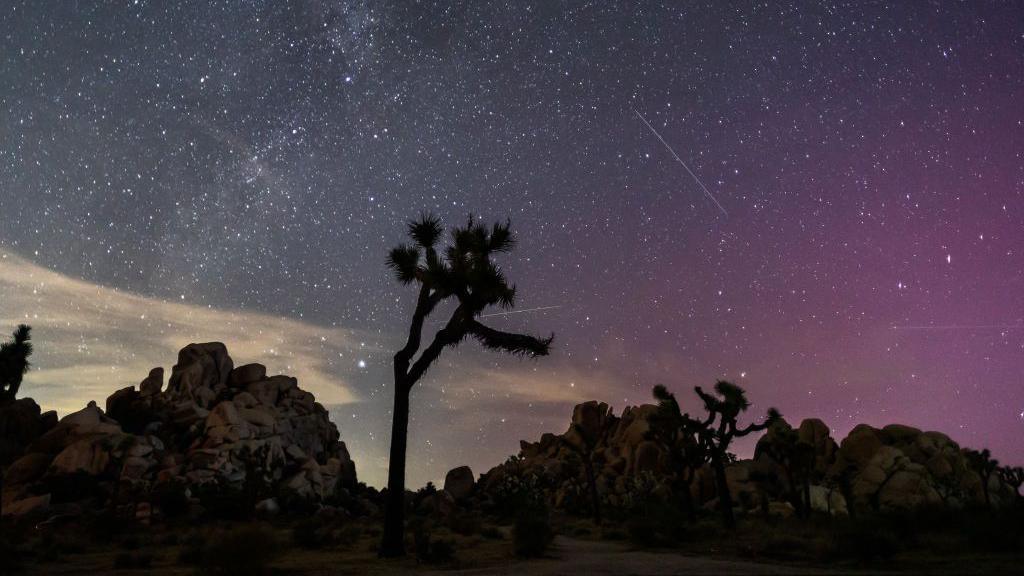 Northern Lights and Perseids illuminate the sky above Joshua Tree National Park in California. 