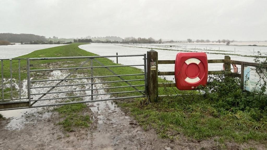 Flooded fields with a raised grass area between them