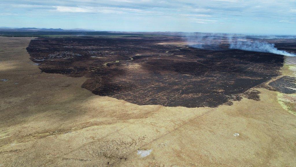 Aerial view of wildfire