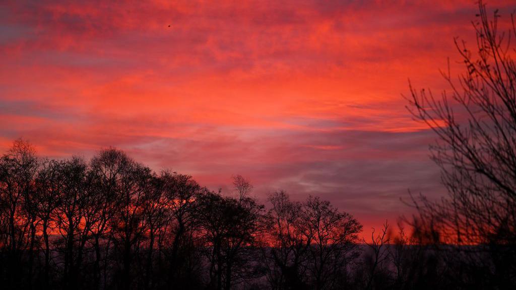 The sun is coming up and painting the clouds pink near Glastonbury. Trees are silhouetted black against the sky.