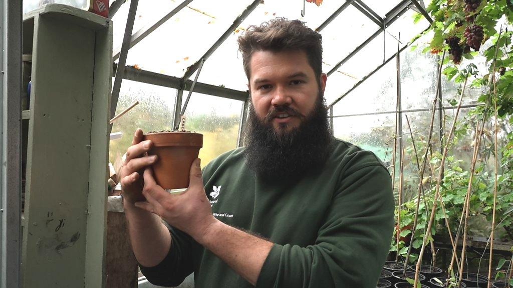 Cal holding up a pot of crocus bulbs