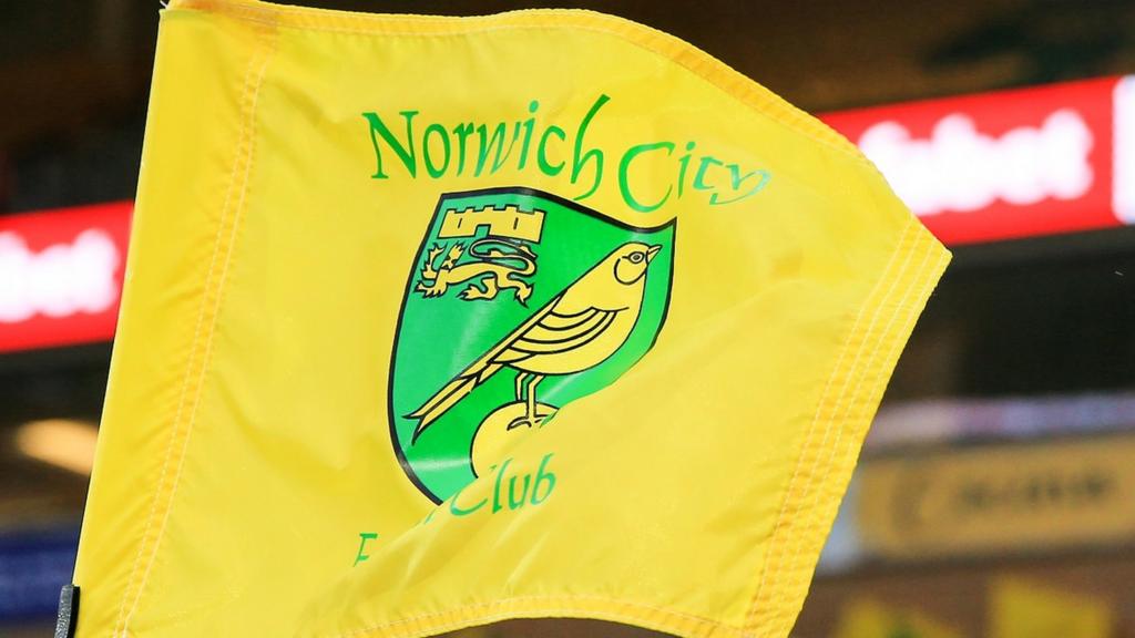 Norwich City flag