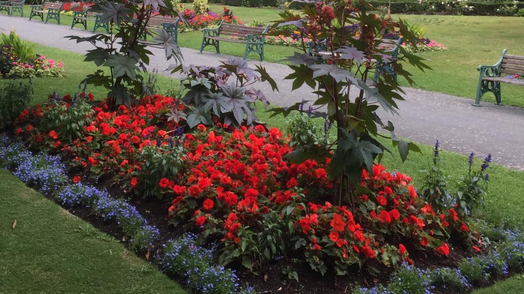 BBC local live West of England BBC News