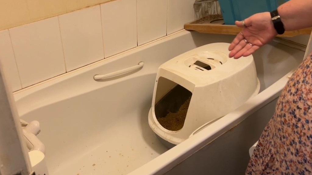 Karen showing her small sized bath tub with a cat litter tray inside