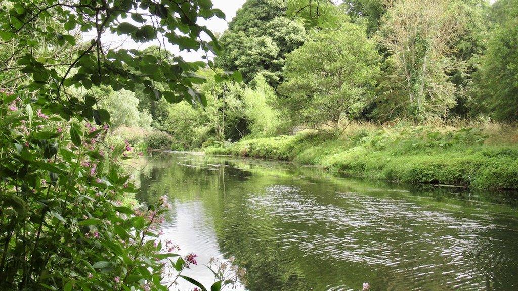 River Tyne