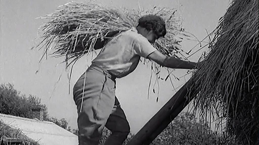 Land girls