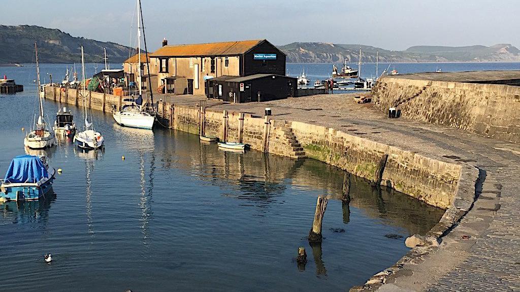 Lyme Regis aquarium on part of the stone-built breakwater known as The Cobb. Small boats are moored near the breakwater. Coastal cliffs can be seen in the background across the harbour.