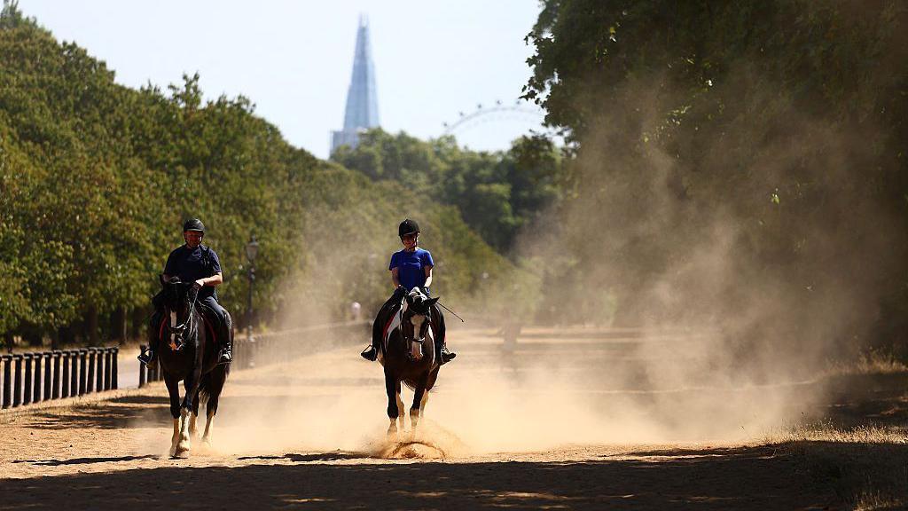 Riders kick up the dust during a gallop on the scorched grass of Hyde Park, in central London