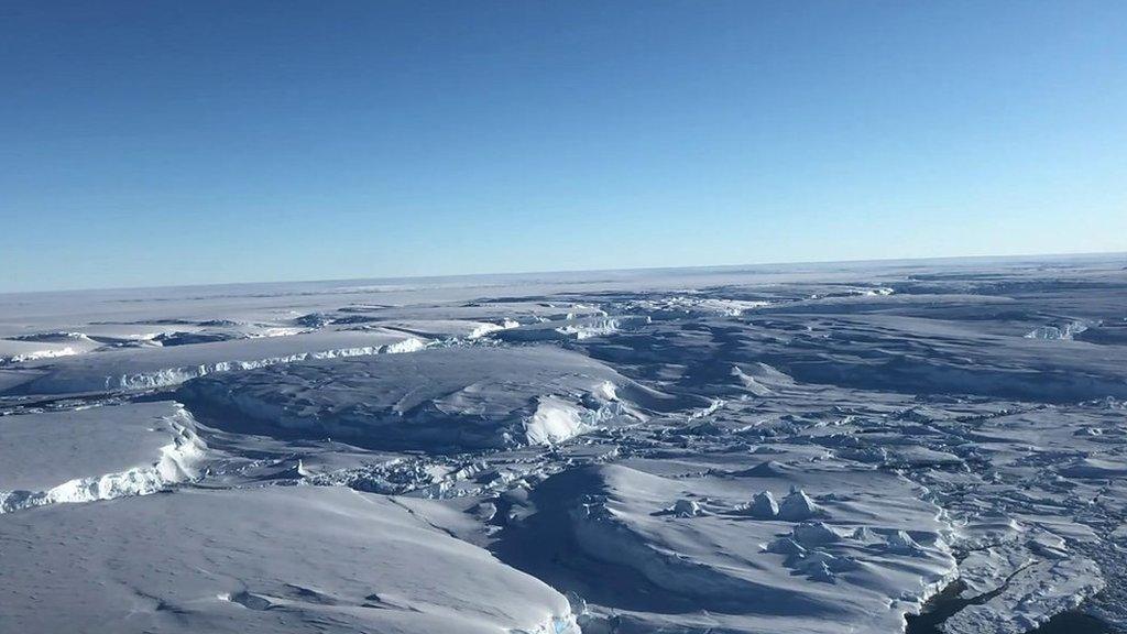 Thwaites glacier.