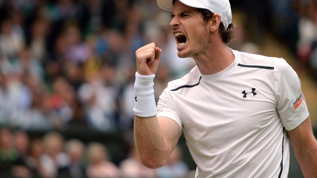 Andy Murray wins