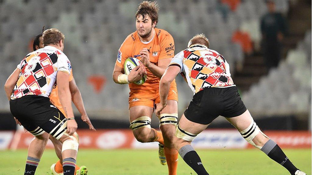 The Cheetahs and the Kings in action in 2016