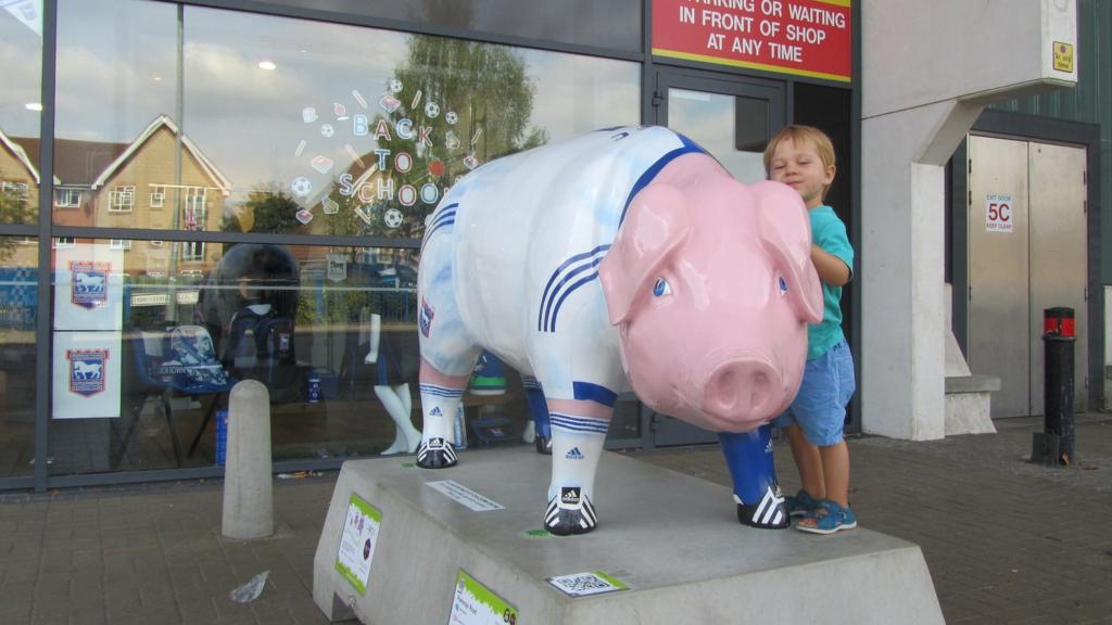 Pigs Gone Wild at Portman Road stadium