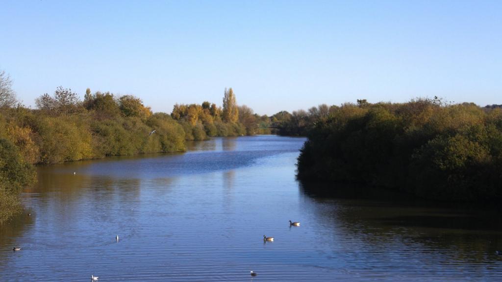 Attenborough Nature Reserve