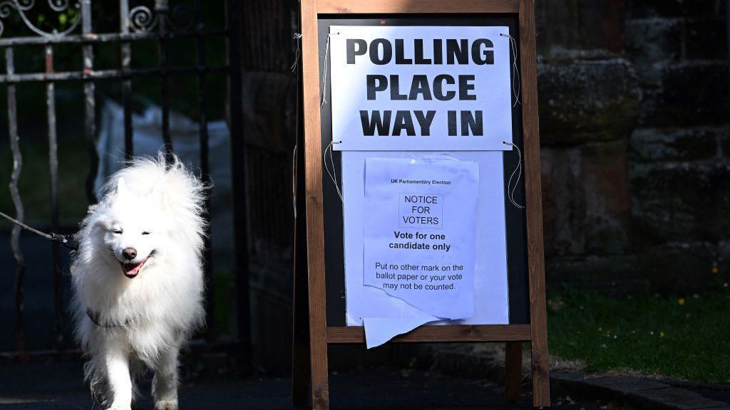 a dog at a polling station in Glasgow