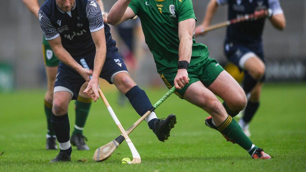 A group of men are playing on a green pitch for the Shinty International. One man is attacking the ball with a shinty stick and another is using a hurling stick.