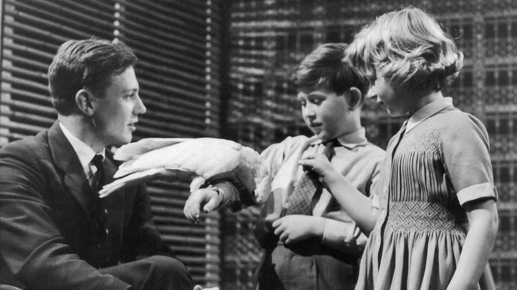 young david attenborough with a cockatoo parrot meeting king chales III and his sister as children.
