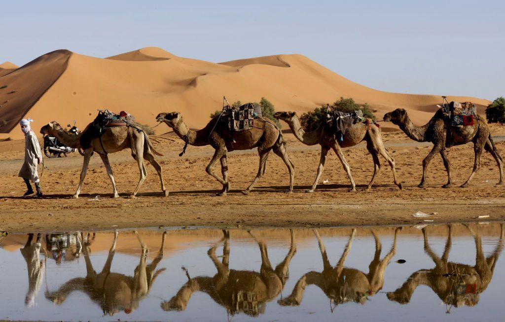 A man leads his camels along the shores of Yasmina lake, a seasonal lake in the village of Merzouga in the Sahara desert in southeastern Morocco on October 20, 2024. Last month's unusual torrential rains triggered floods that killed at least 18 people in areas of southern Morocco that straddle the Sahara Desert. Morocco is one of the world's most water-stressed nations, with frequent droughts affecting a third of the population employed in agriculture. 