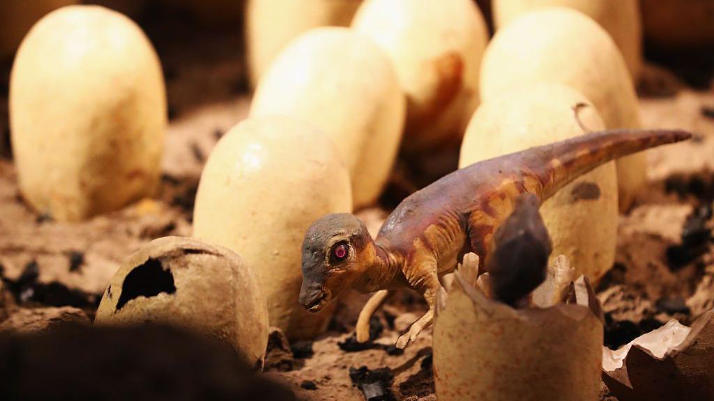 baby dinosaur near eggs