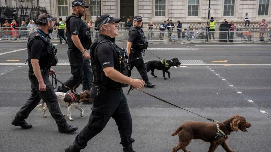 Four police dogs patrol the streets with handlers at a public event in London. 