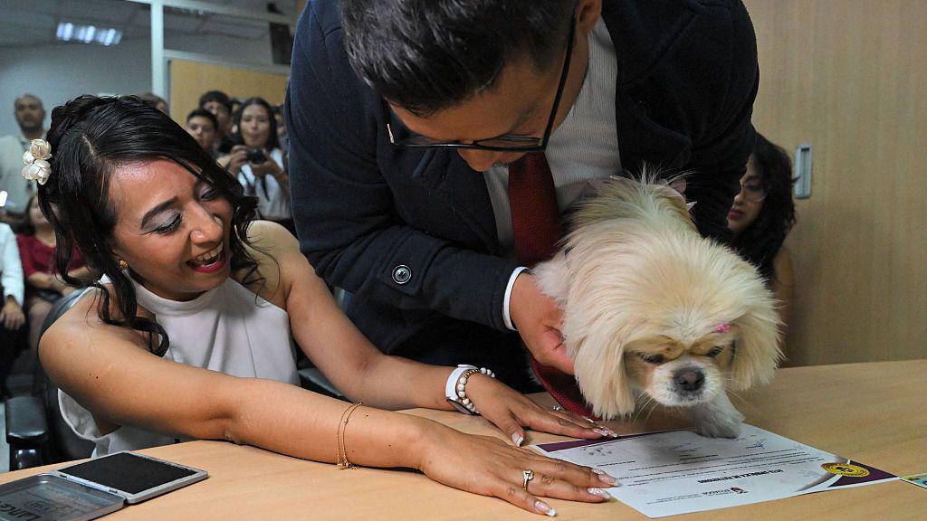 Andres Alquinga and Diana Tupiza place the paw print of their pet Luna as a symbolic witness to their marriage at the central civil registry office in Quito.