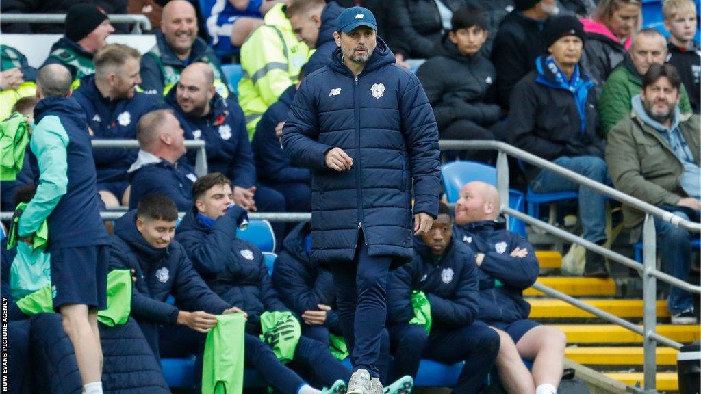 Erol Bulut on the touchline during Cardiff's defeat to Norwich