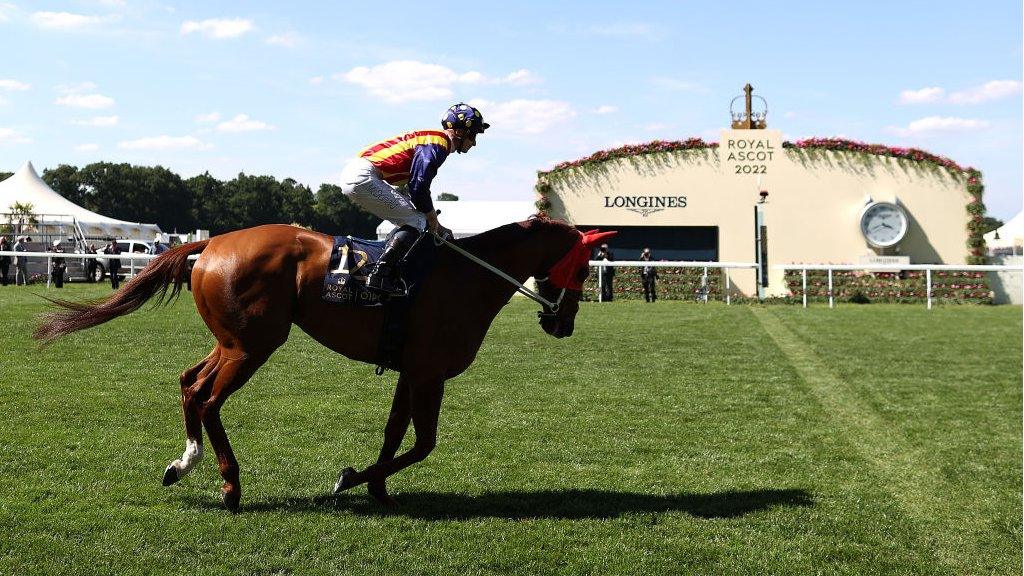 Nature Strip wins at Royal Ascot