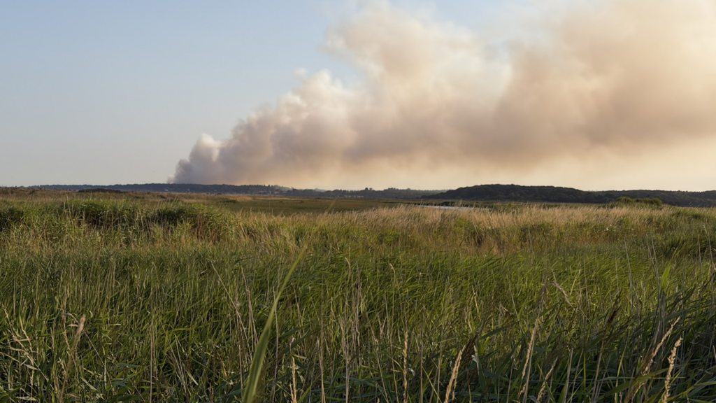 Major incident declared in Suffolk as 90 firefighters tackle wildfire; homes and caravan park evacuated amid dynamic conditions