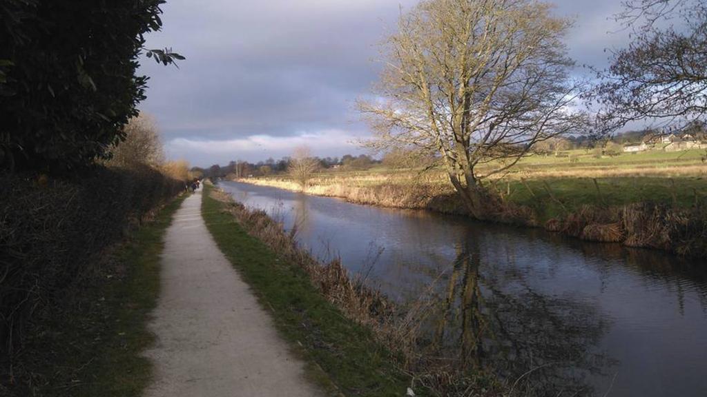 Caldon Canal in Stockton Brook