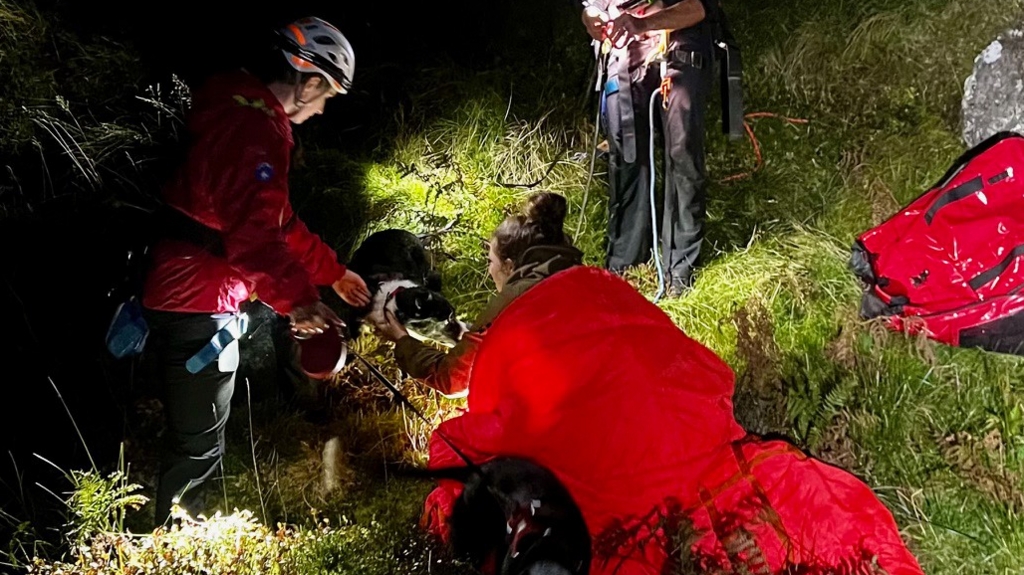 Two rescuers in orange costumes and helmets looking at a dog in the dark. There is the light from torchlights on the grass. 