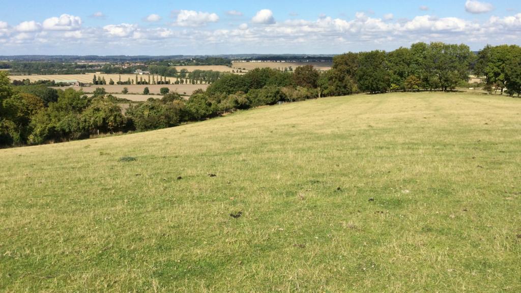 BBC Local Live Beds, Herts & Bucks on Tuesday 20 October 2015. BBC News