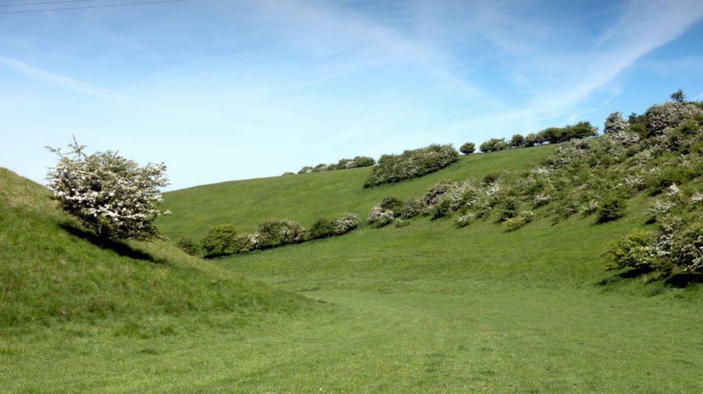The Yorkshire Wolds made up of green rolling hills.