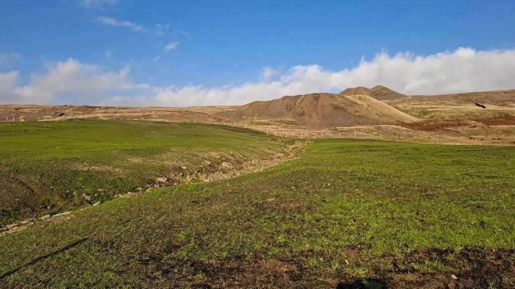 Grass now covers the rocky ground, making the whole landscape greener.