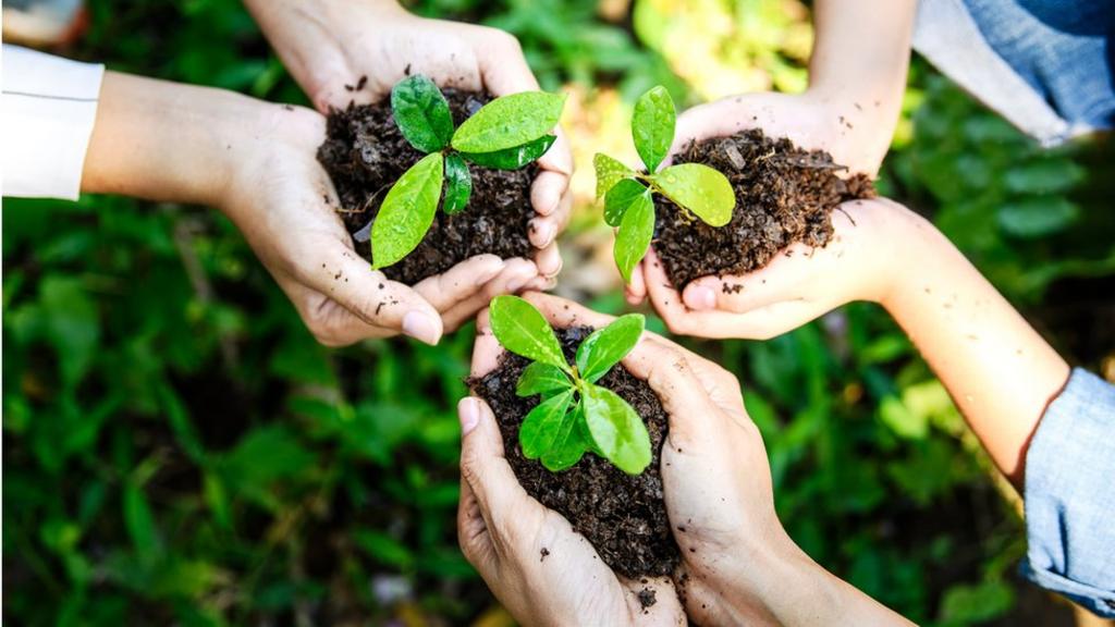 What is Earth Day and what has it achieved?