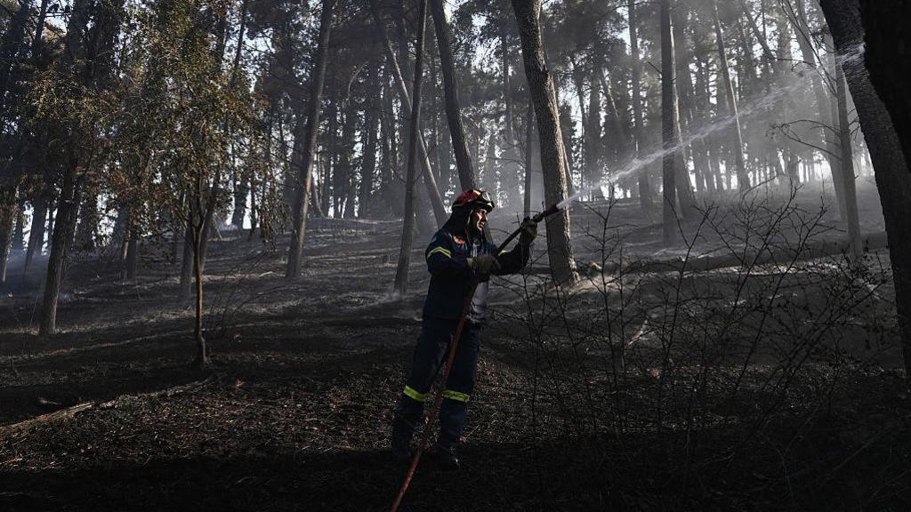 A firefighter in a smoky forest near Liti in Greece