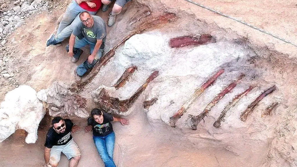 Palaeontologists sit with the ribs of the sauropod.