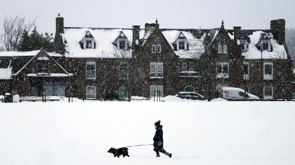 A member of the public walks their dog in the snow in Aboyne. 