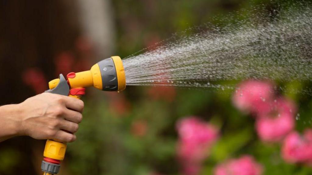 A hosepipe with a person's arm to the left of the shot