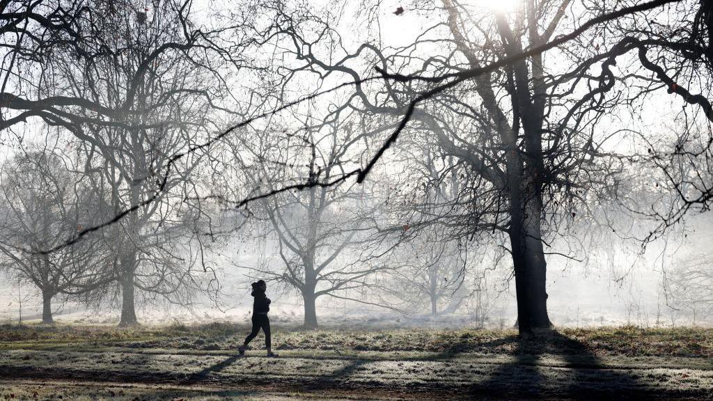 Image shows a person wearing a coat and walking through an icy and foggy park