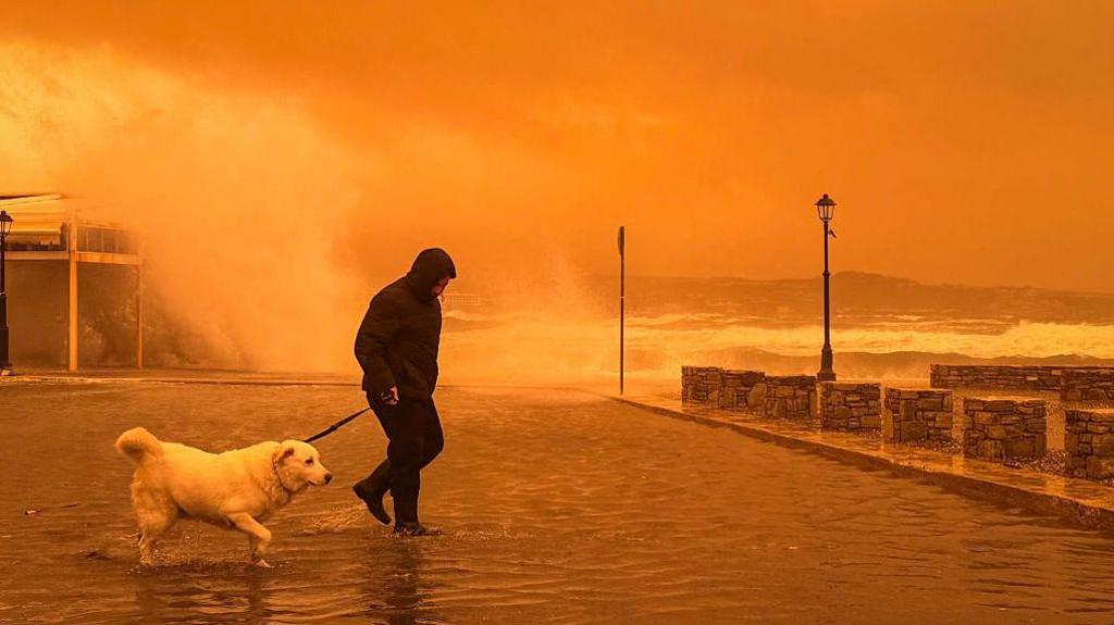 saharan dust storm orange sky by the sea, man walking dog.