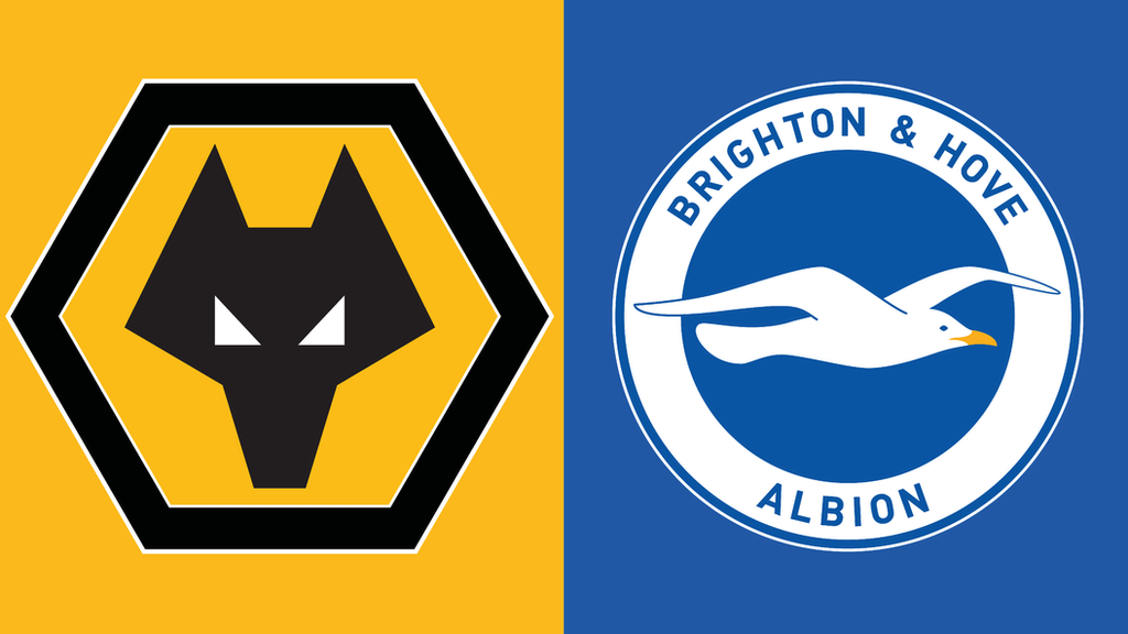 Wolves v Brighton