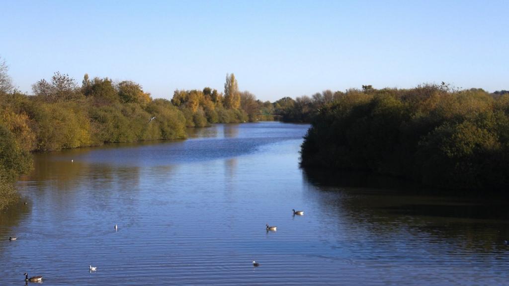 Attenborough Nature Reserve