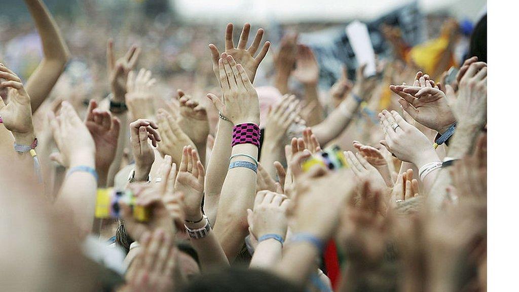 Fans at a festival