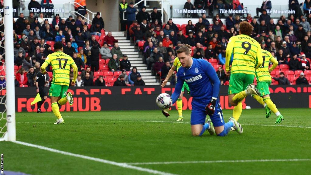 Gabriel Sara celebrates scoring for Norwich