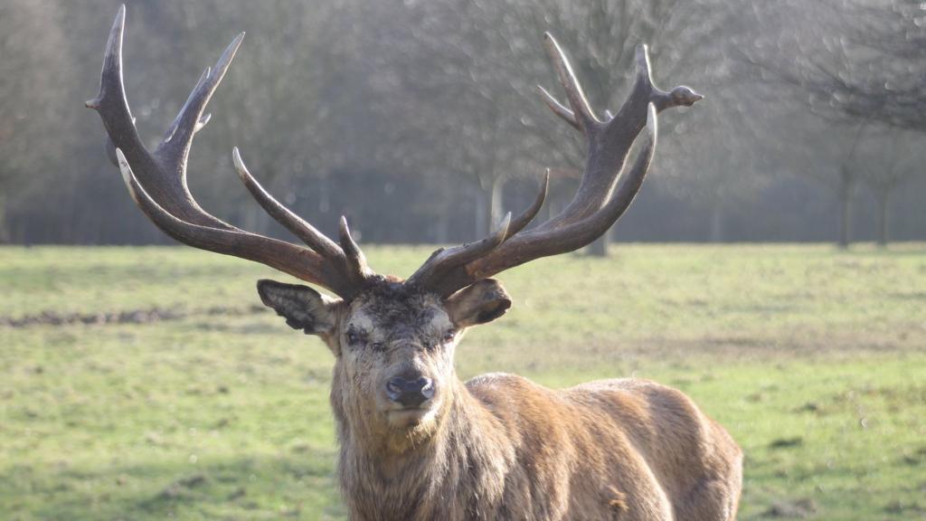 BBC Local Live Nottinghamshire on Monday 30 January 2017 BBC News