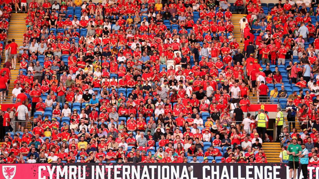 Wales fans