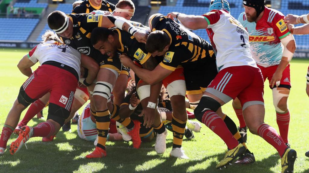 Wasps maul