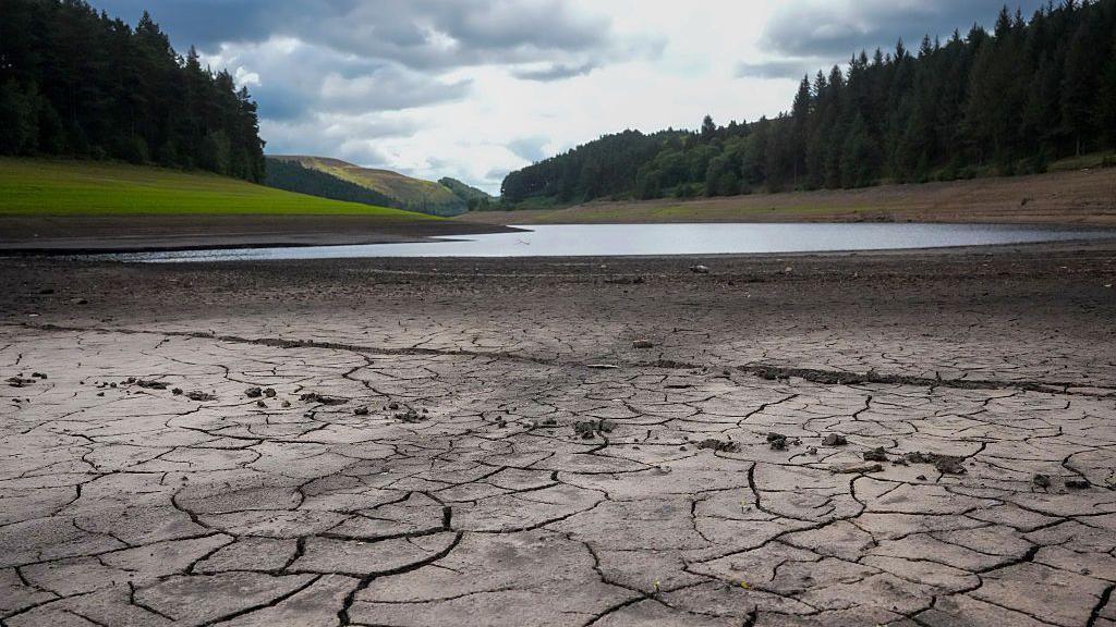 The ground is dry and cracked with a low-level reservoir in the background