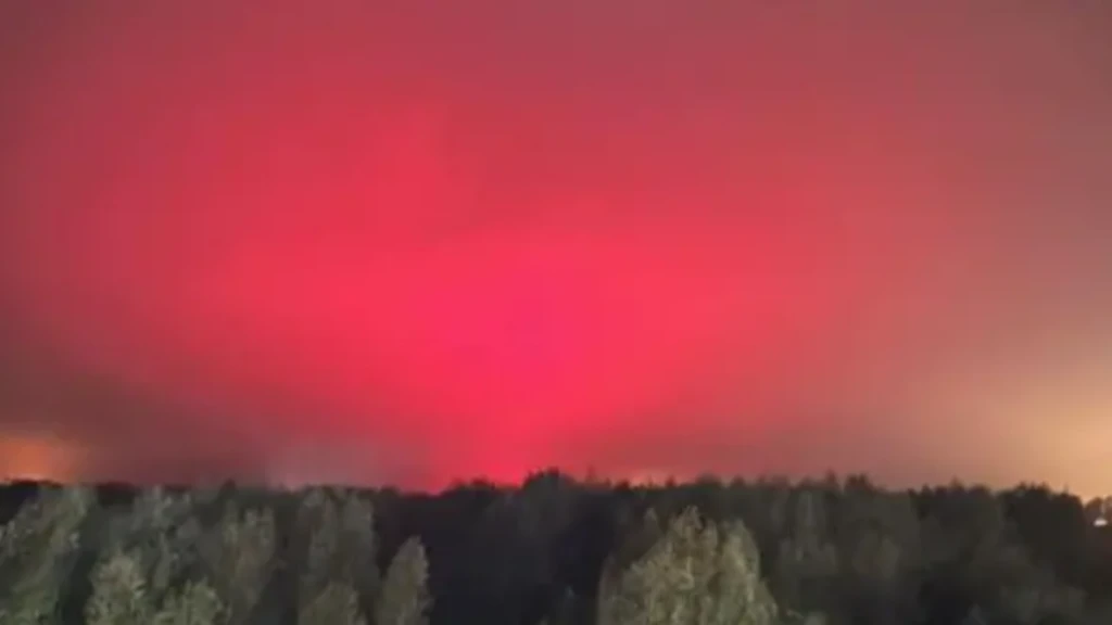 A pink/red sky above a forest of trees