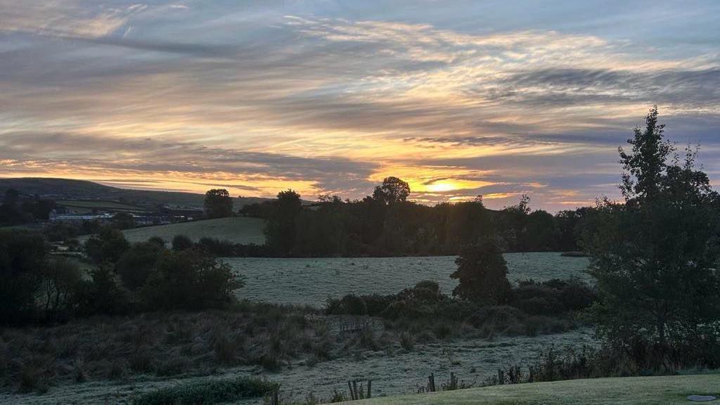 Frosty fields and trees in Katesbridge at sunrise.