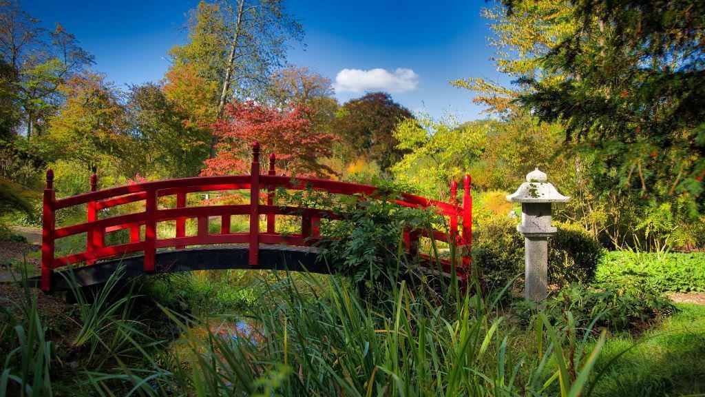 Bridge in the Japanese garden